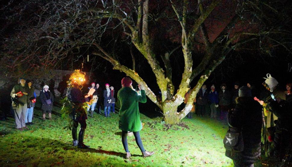 Evening Orchard Wassail at Chawton House