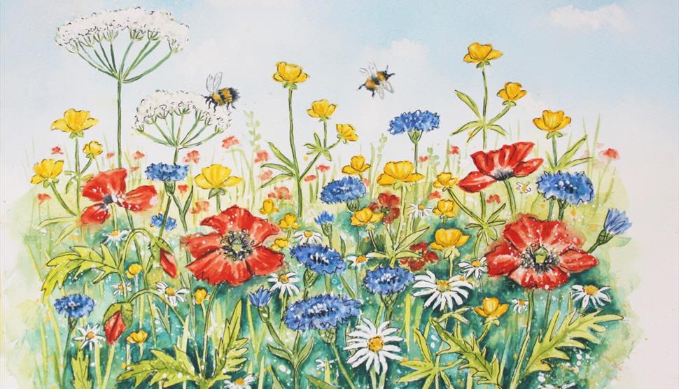 A Wildflower Summer: Watercolour Workshop at Gilbert White's House & Gardens