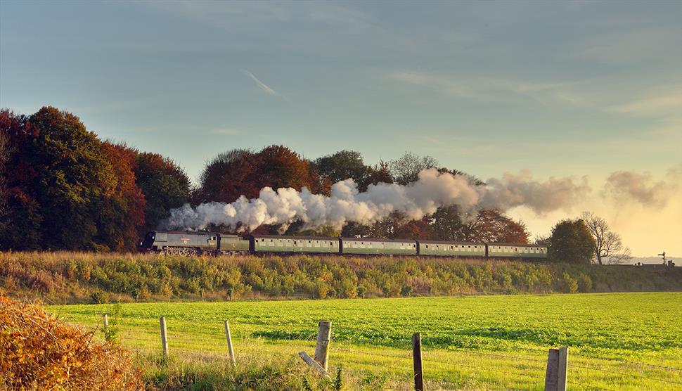 Autumn on the Watercress Line