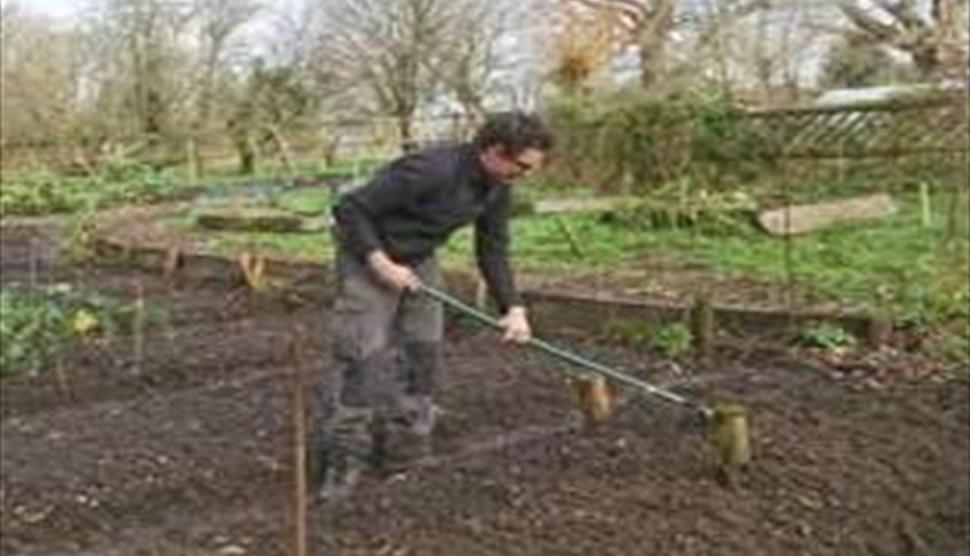 Starting Your Very Own Vegetable Garden at Minstead Study Centre