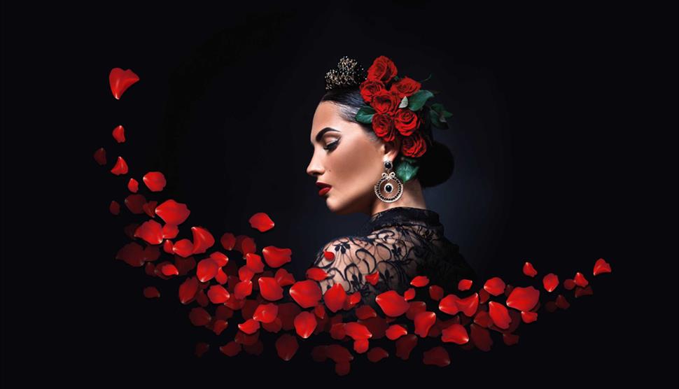 Carmen: Ukrainian National Opera at New Theatre Royal