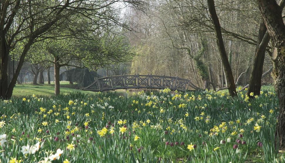 Mother's Day Afternoon Tea at West Green House Gardens