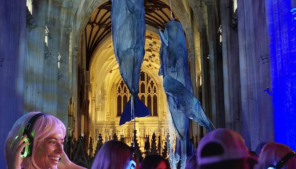 Silent disco under the Whales