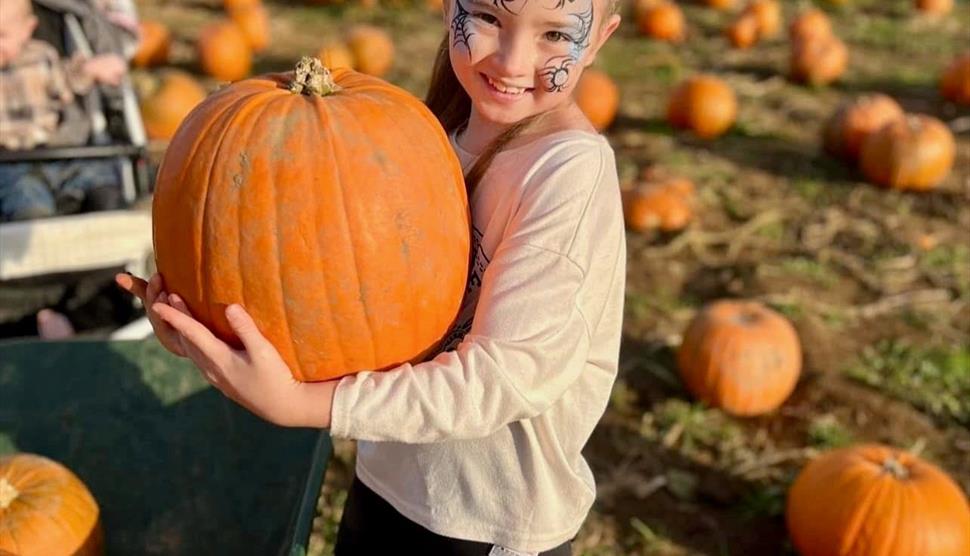 The Rogate Pumpkin Patch