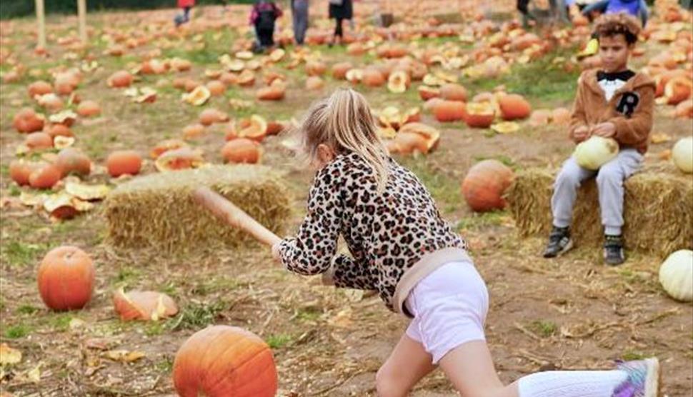 Rogate Pumpkin Smash