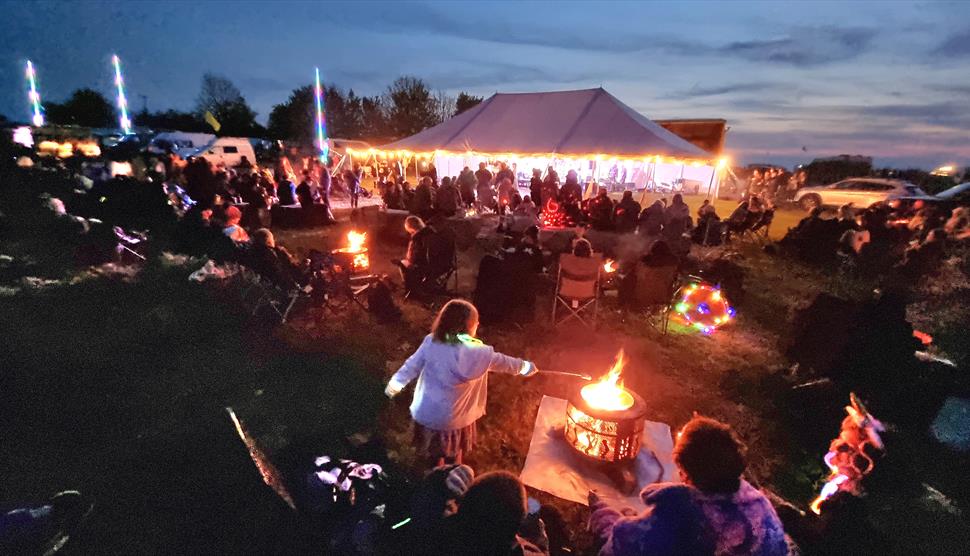 Wild Festivals Hampshire in Winchester