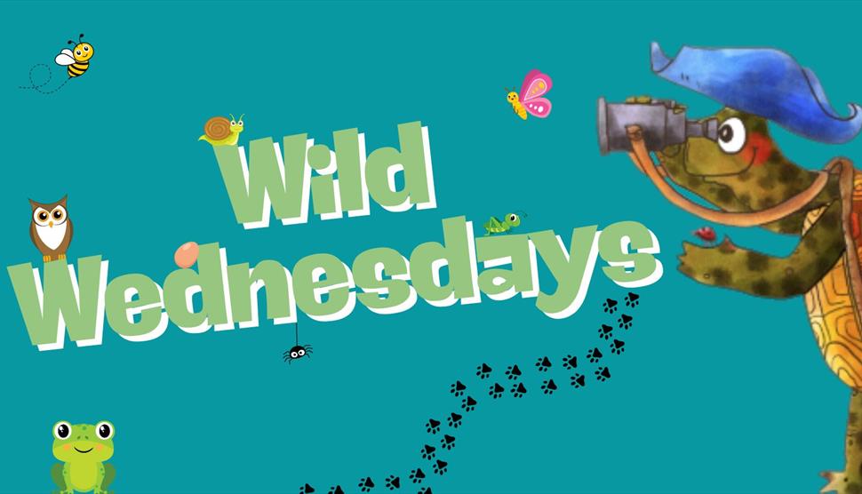 Wild Wednesday: Small Things with Wings