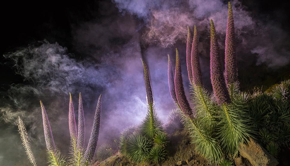 International Garden Photographer of the Year Exhibition at Willis Museum