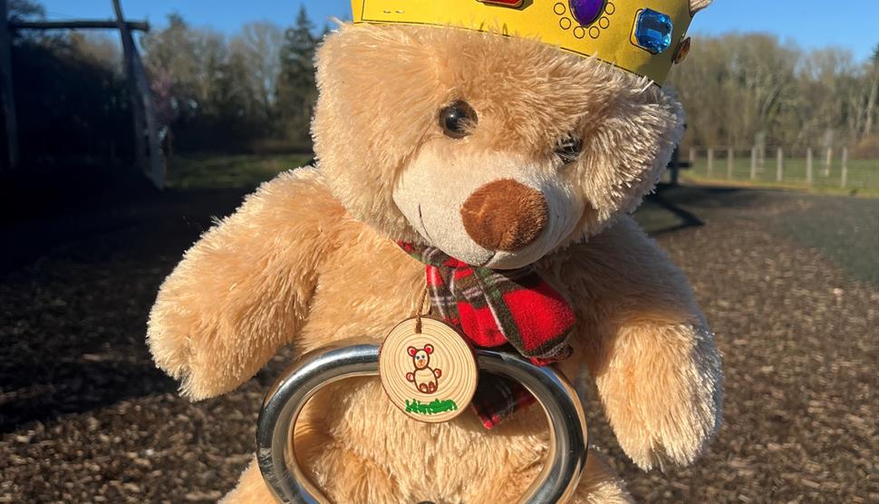 Picture of Teddy Bear with crown and Pendant