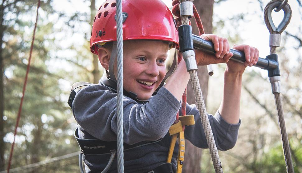 Family Woodland Adventure Day with New Forest Activities