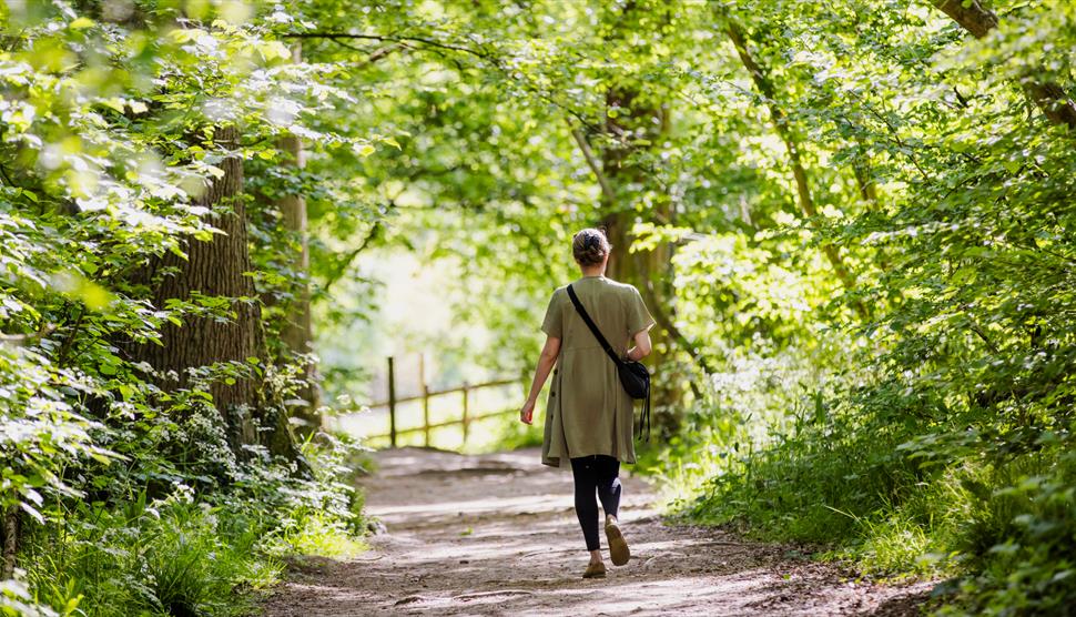 Regency ramble at The Vyne