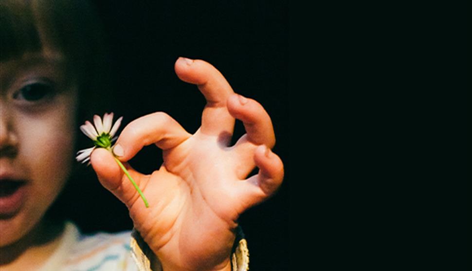 A young girl in a striped top holding a daisy on a dark background