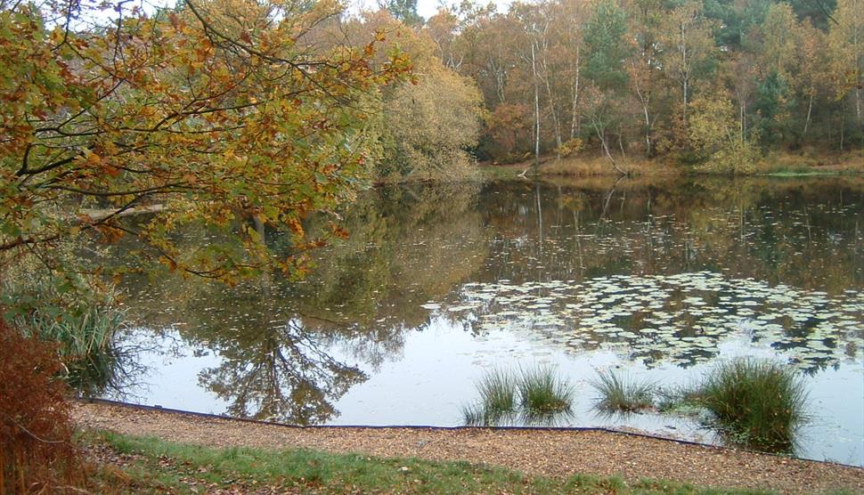 Yateley Common Country Park
