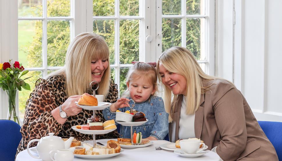Afternoon Tea at Marwell Zoo