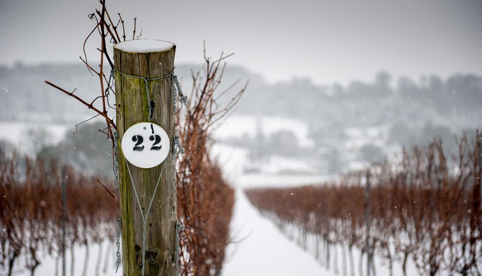 Hambledon Vineyard Festive, Fairy Lights and Fizz Afternoon Tea
