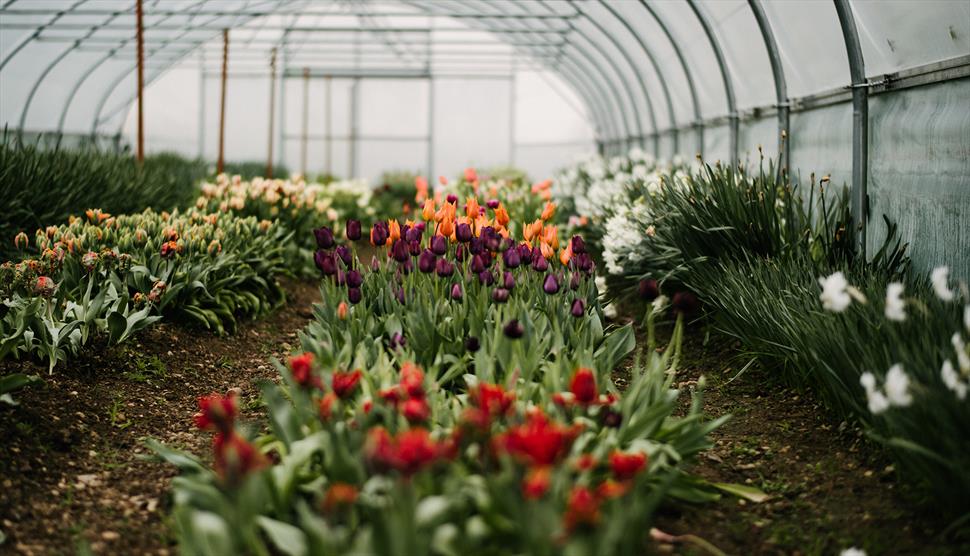 Home Farm Tours at Heckfield Place