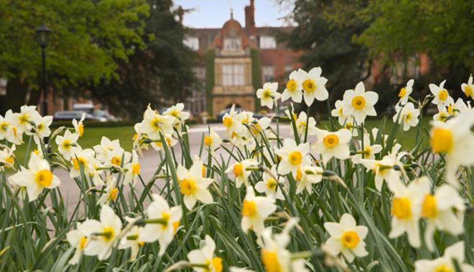 Easter Sunday Luncheon at Tylney Hall