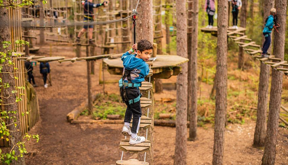 Go Ape at Moors Valley