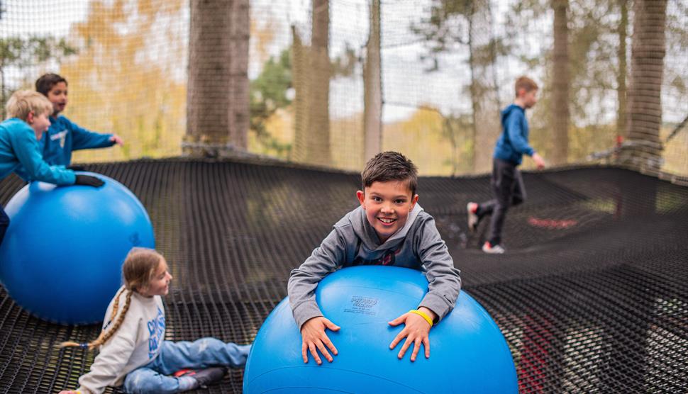 Nets Adventure Go Ape Alice Holt