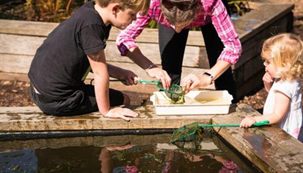 Pond Dipping at Sir Harold Hillier Gardens
