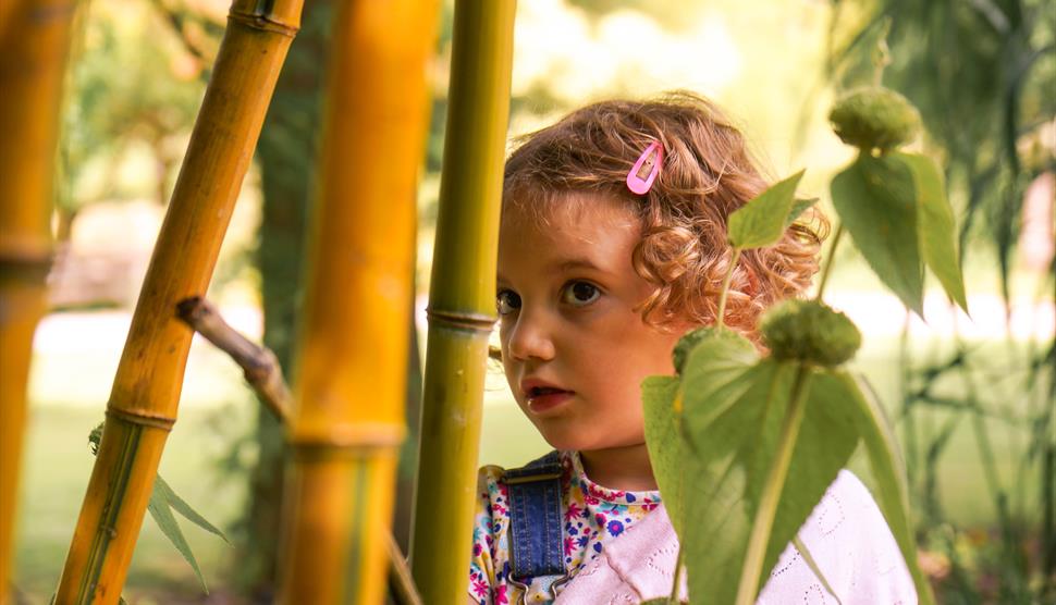 Senses in the Gardens at Sir Harold Hillier Gardens