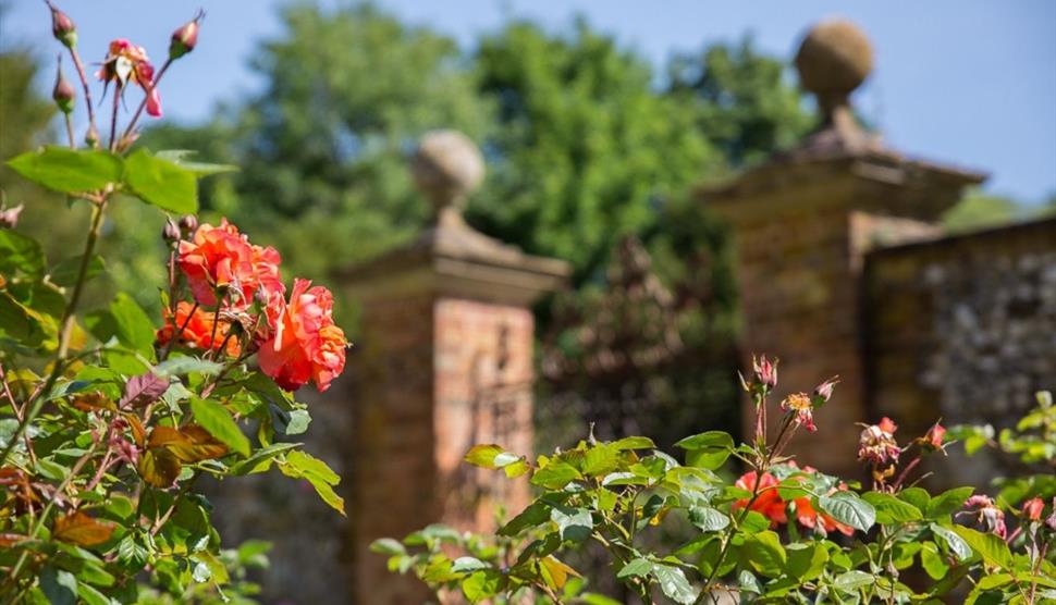 Chawton House Garden Tour