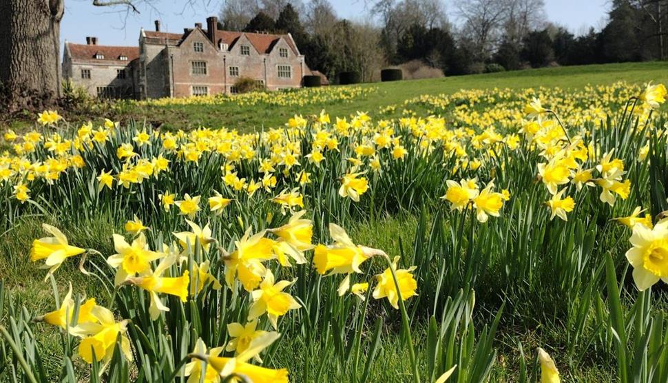 Historic Garden Tour with Chawton House's Head Gardener