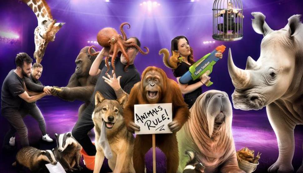 Amazing Animals at Theatre Royal Winchester