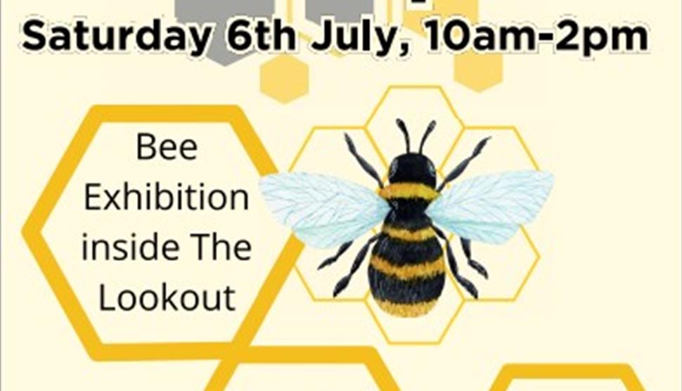 Guided Bee Walk at Lepe Country Park