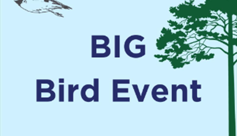 Big Bird Event at Lepe Country Park