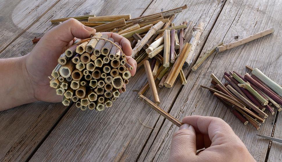 Bug Hotel making