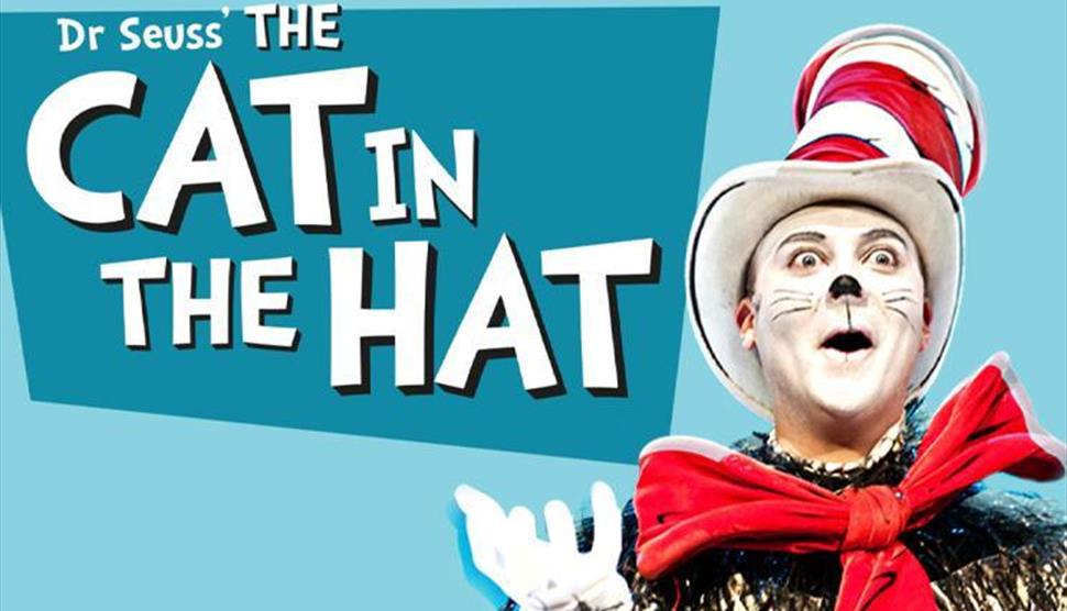 Cat in the Hat at Theatre Royal Winchester