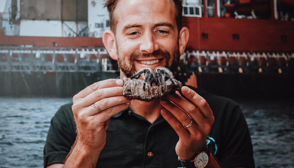 A particularly creepy crawly