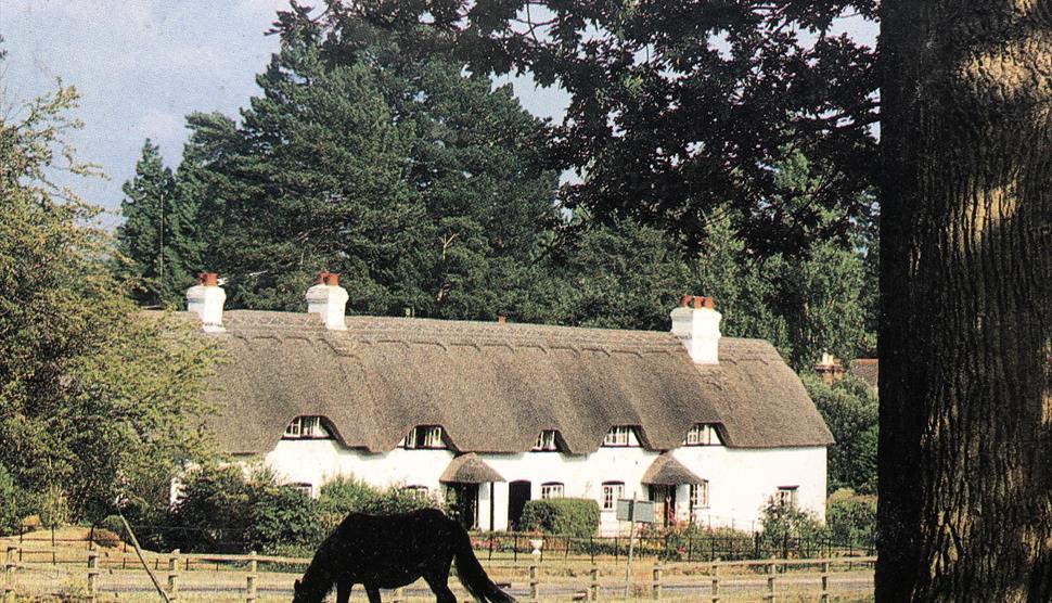 Exterior of Swan Green Cottages with a New Forest Pony in the foreground.