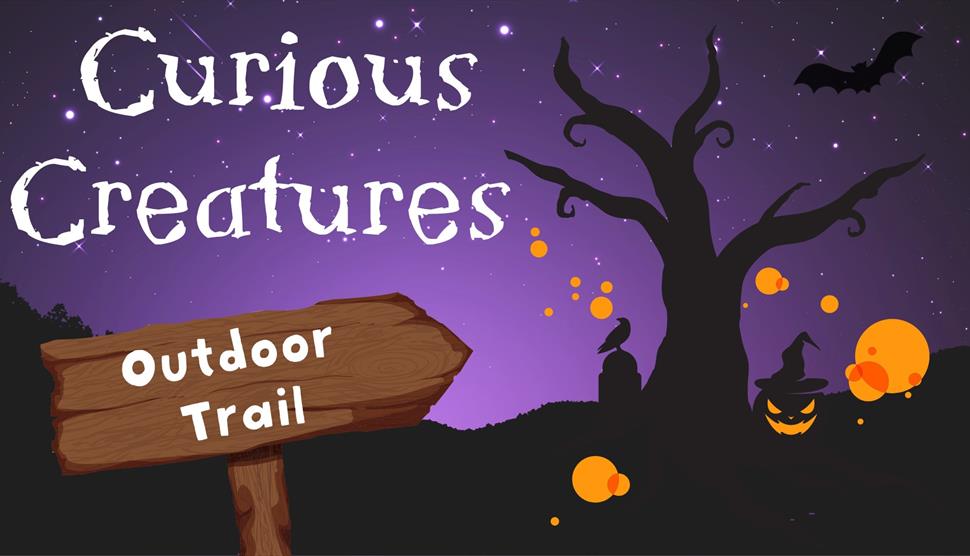 Curious Creatures Halloween Trail at Queen Elizabeth Country Park

