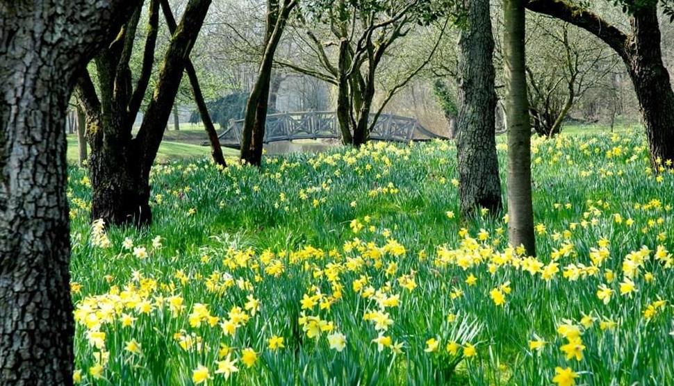 Easter at West Green House Gardens