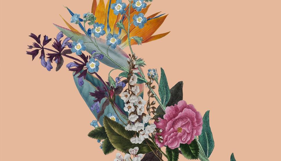 October Curator's Tour: Botanical Women