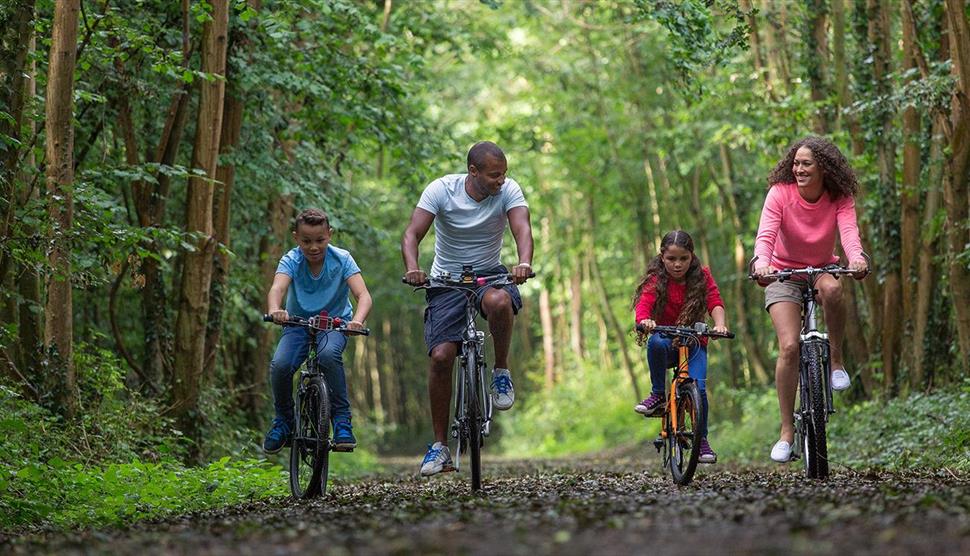 Meon Valley Trail