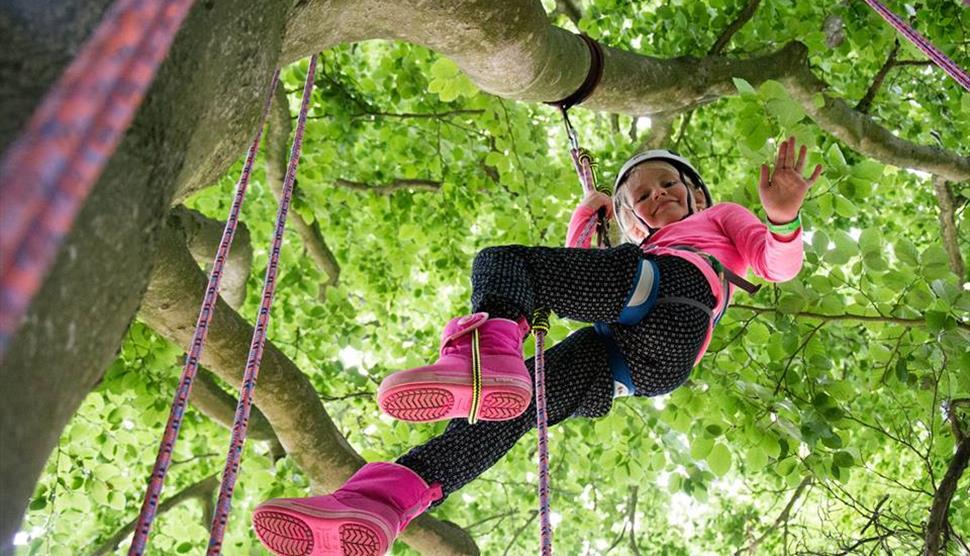 Climb a Tree at Sir Harold Hillier Gardens