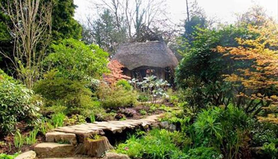 Photography with your Smartphone Workshops at Furzey Gardens