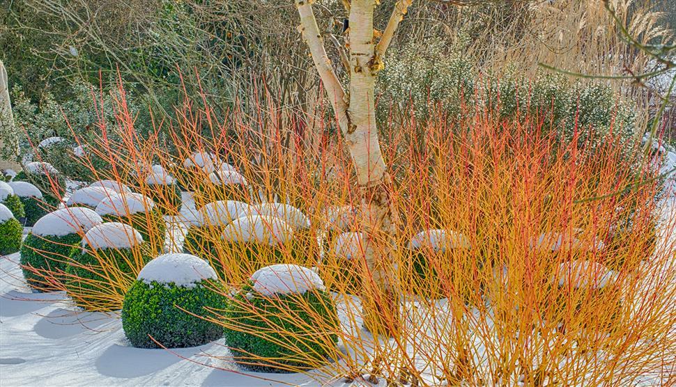 Winter Lecture Lunch: Medieval Christmas at Sir Harold Hillier Gardens