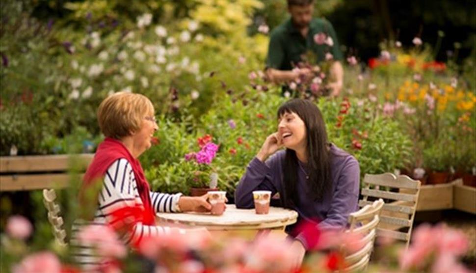Staunton's Tea Festival
