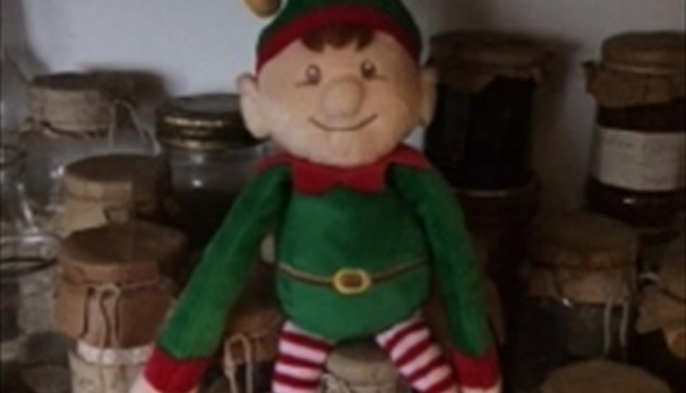 Mischievous Elf at Manor Farm