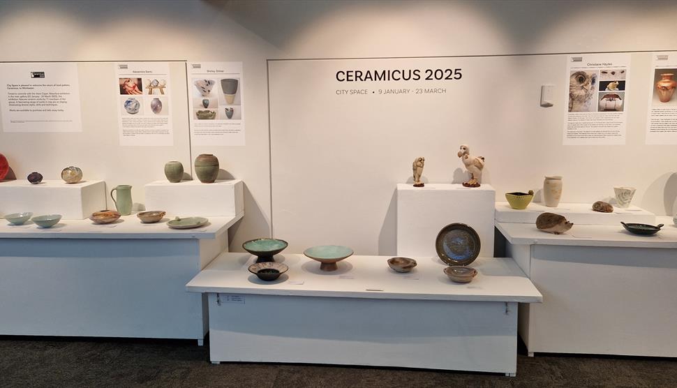 Ceramicus Pottery Exhibition at the Freedom Through Expression Gallery