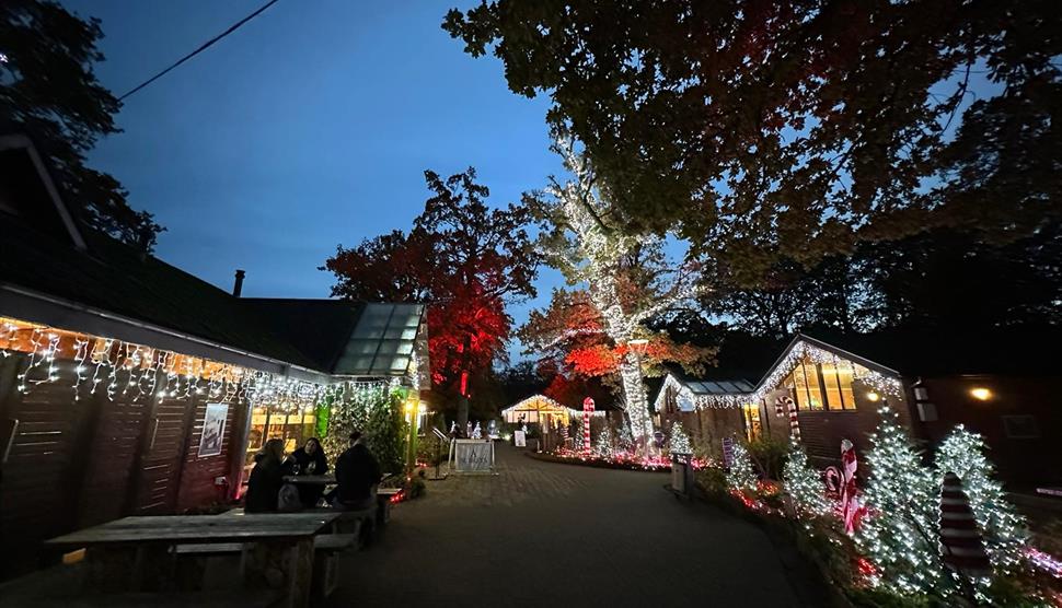 Winterfest at Sandy Balls Holiday Village