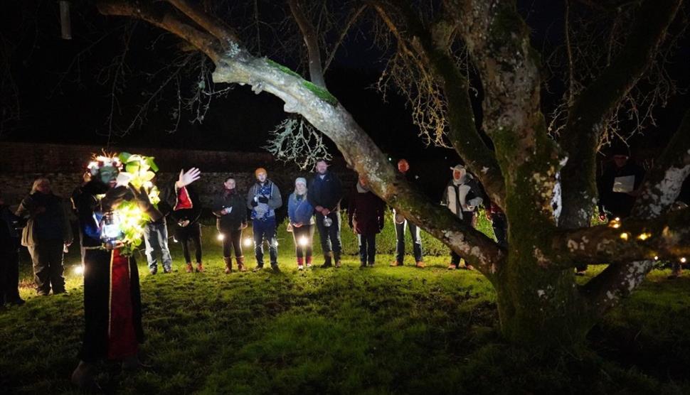 Evening Orchard Wassail at Chawton House