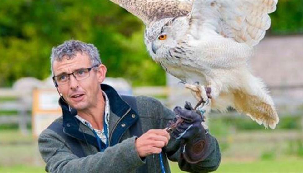 Falconry Days at Exbury Gardens & Steam Railway