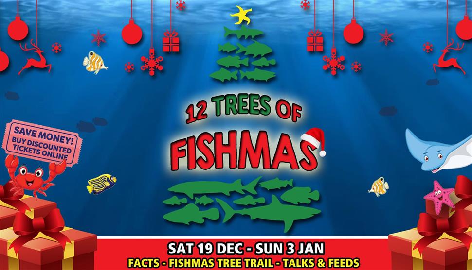 12 Trees of Fishmas at Blue Reef Aquarium