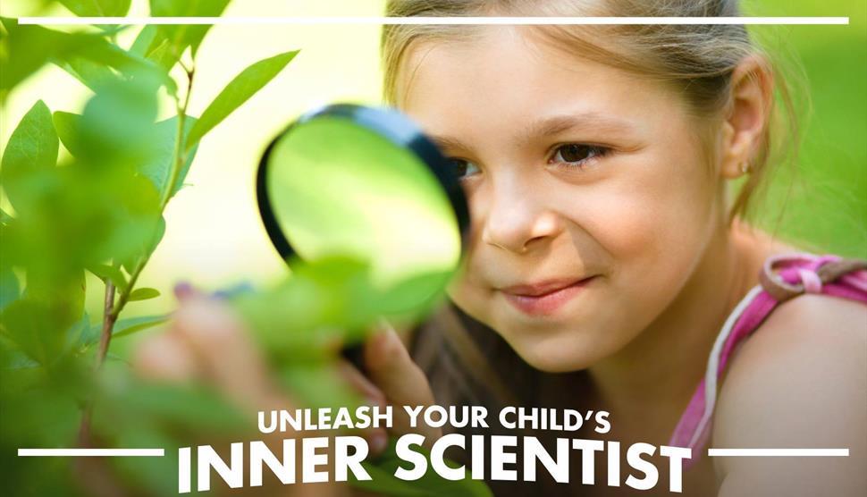 Mad Science Summer Camp