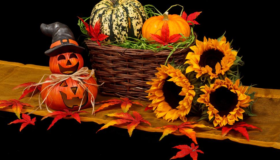 Light UP Halloween Party